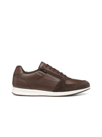 Geox Sneakers U in bunt