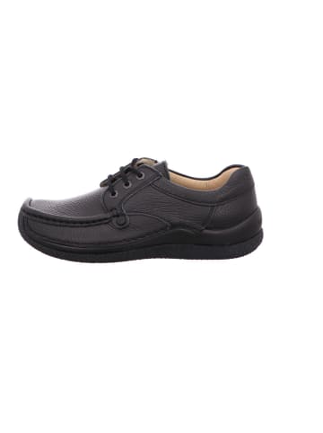 wolky Schnürschuh in schwarz