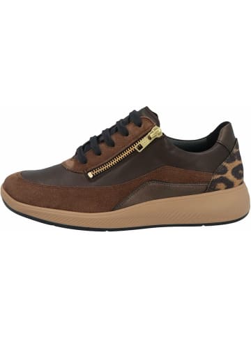 Solidus Sneaker für Damen in Bunt