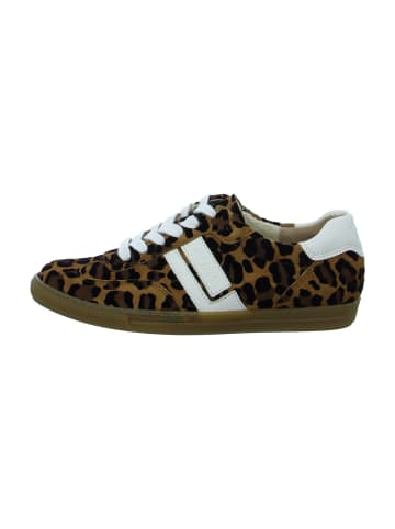 Paul Green Sneaker Low in Animal