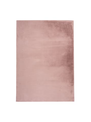 payé Teppich Hochflor Autum Uni