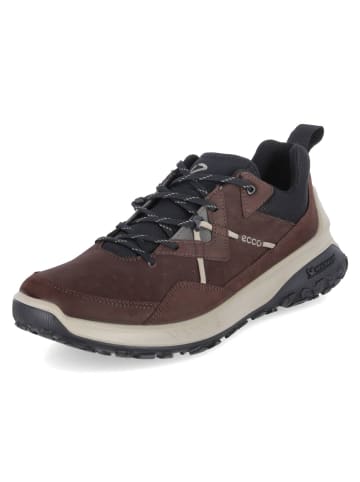 Ecco Sneaker Ult-Trn M in mocha/mocha