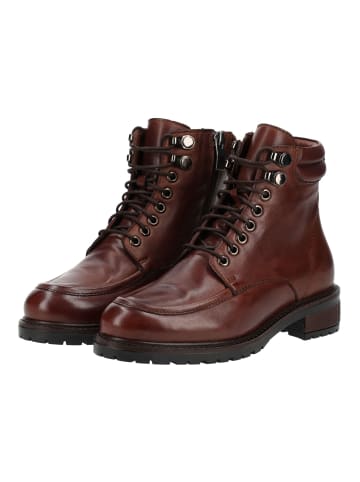 B.Z. MODA by EVERYBODY Stiefelette CLEO in Braun