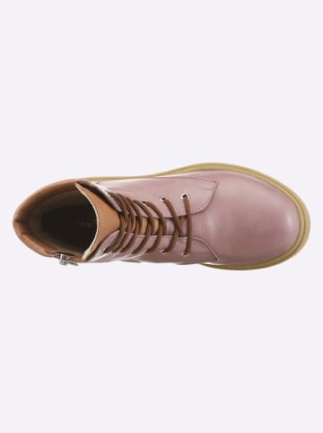 Andrea Conti Schnürstiefelette in mauve