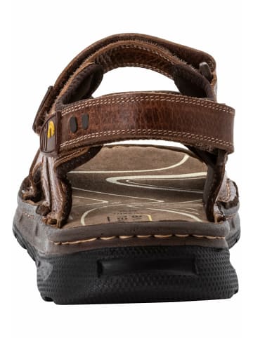 Camel Active Sandalen für Herren in braun