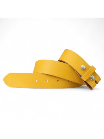 FRONHOFER Ledergürtel Wechselgürtel in Curry