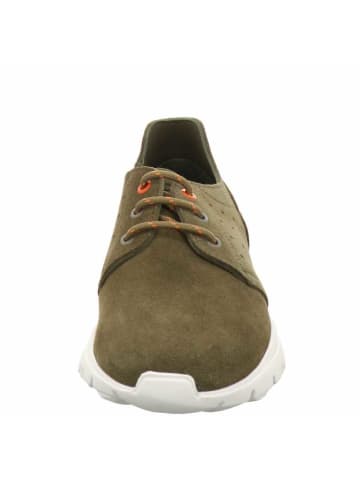 PANAMA JACK Sneaker in grün