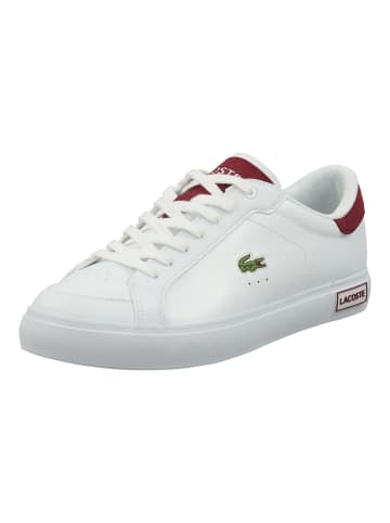 Lacoste Sneaker in Weiß/Rot