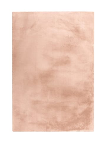 Kayoom Hochflor Teppich Rabbit in creme - rechteckig