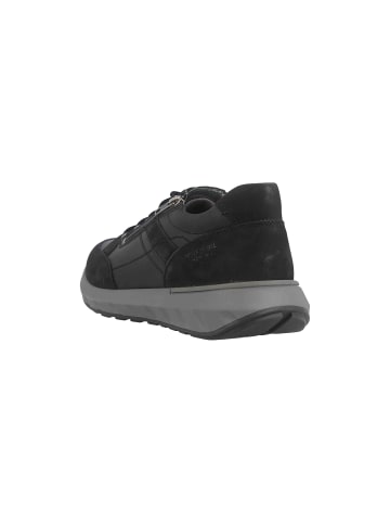 Josef Seibel Sneaker in Schwarz