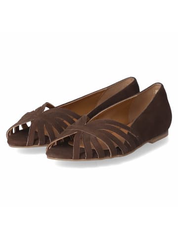 Ballerinas PASSIONATE SUEDE in braun