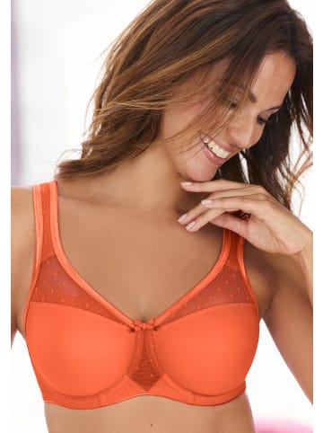 nuance Minimizer-BH in orange