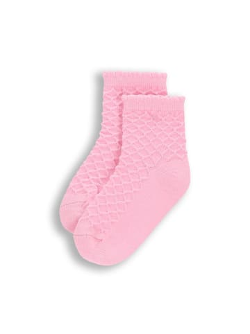 Coccodrillo Socken in rosa