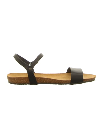 Plakton Sandalen in schwarz