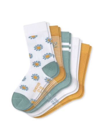 Schiesser Socken 5er Pack in Grün/Weiß
