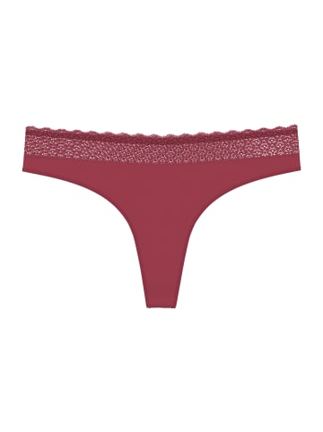 Triumph String Feel of Modal in SWEET MARSALA