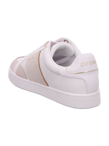 Guess Sneaker Low in Beige