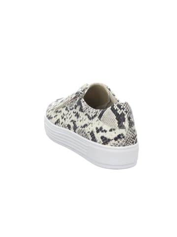 Solidus Sneaker in bunt