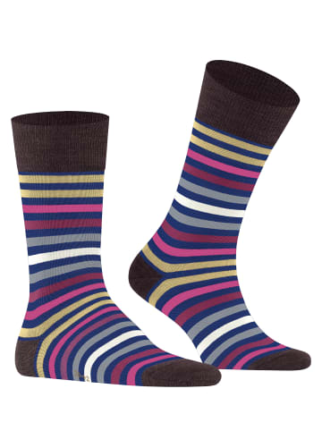 Falke Socken Tinted Stripe in Cobalt