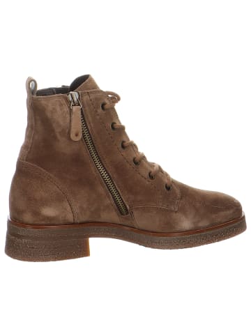 Paul Green Stiefeletten für Damen in taupe