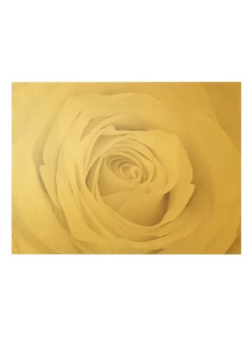 WALLART Leinwandbild Gold - Pretty White Rose in Weiß