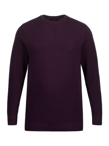JP1880 Pullover in dunkle traube