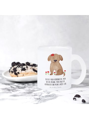 Mr. & Mrs. Panda Glas Hund Dame mit Spruch in Transparent