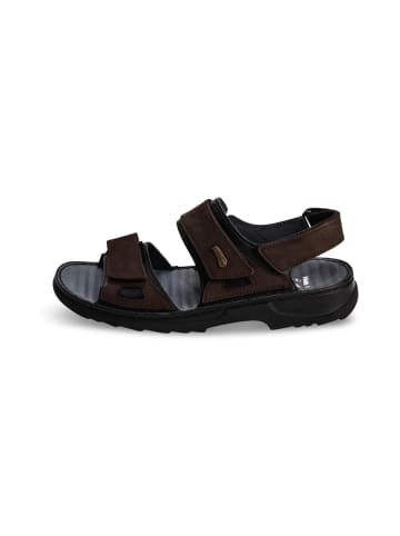 VITAFORM Nubukleder Sandalen in schwarz/dunkelbraun