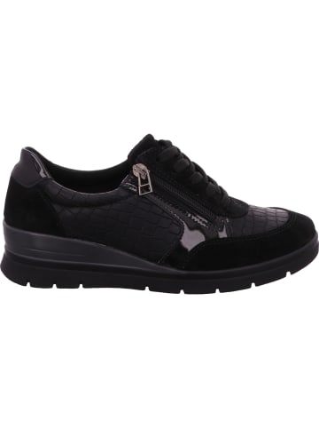 ACO Schnürhalbschuh in schwarz