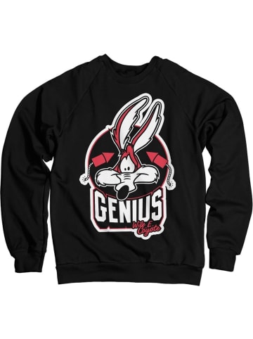 Looney Tunes  Pullover in Schwarz