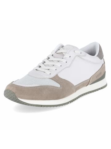 LLOYD Low Sneaker SWIFT in weiß