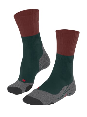 Falke Sportsocken TK2 in Holly