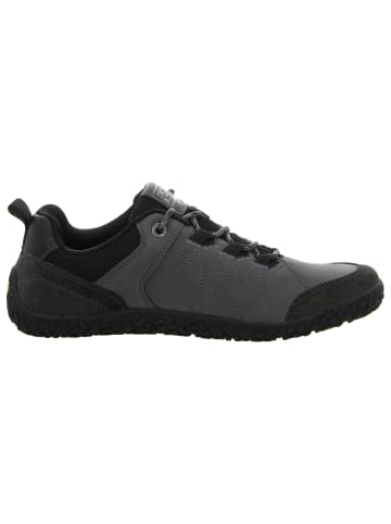 Camel Active Schnürschuhe in grau
