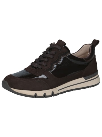 Caprice Sneaker in DK BROWN COMB