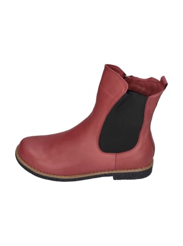 Andrea Conti Stiefeletten 0022848-024 in rot