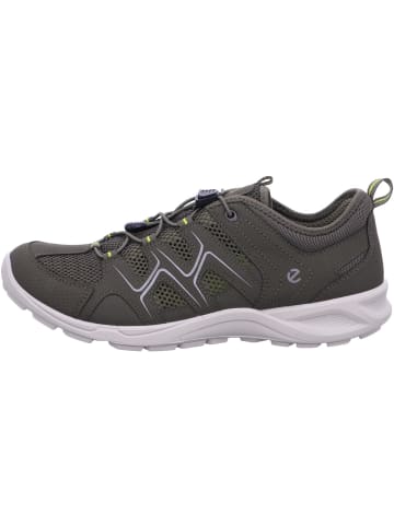 Ecco Herren Halbschuhe  in Grün