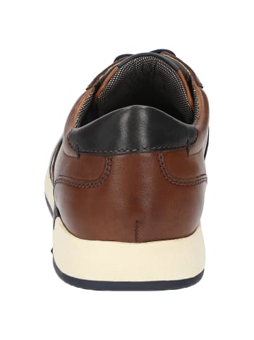 Sioux Sneaker Rojaro-700 in cognac