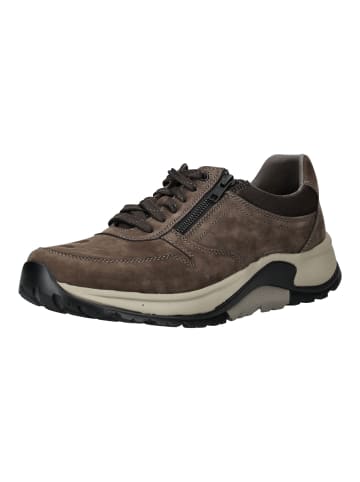 Pius Gabor Sneaker in Mocca