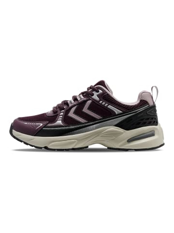 Hummel Schnürsenkel Sneaker Hml Lebensstil Erwachsene in CATAWBA GRAPE