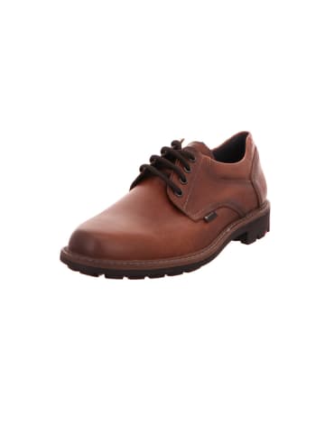 LLOYD Schnürschuh Vanja in braun