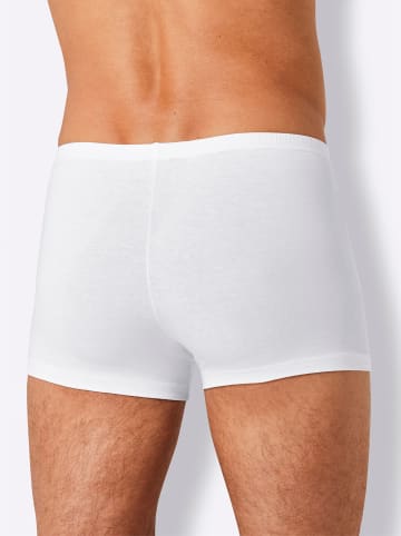 WITT WEIDEN Pants in 5x weiß