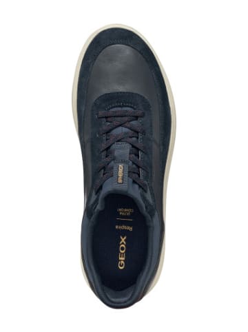 Geox Sneackers U in Navy/Dk Avio