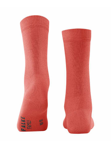 Falke Socken Family in Orange