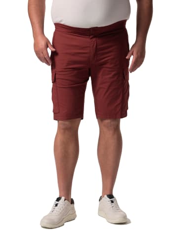 Men Plus Bermuda in kupfer braun