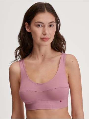 Calida Bustier in lilas