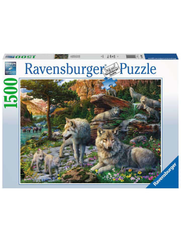 Ravensburger Puzzle 1.500 Teile Wolfsrudel im Frühlingserwachen Ab 14 Jahre in bunt