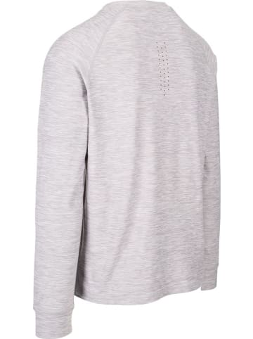 DLX Longsleeve in Grau