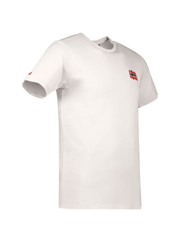 Geographical Norway Shirt in Gray