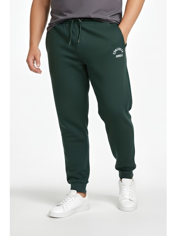 Men Plus Lange Sweathose in tannengrün