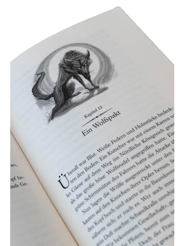 FISCHER Sauerländer Land of Stories: Das magische Land 1 - Die Suche nach dem Wunschzauber